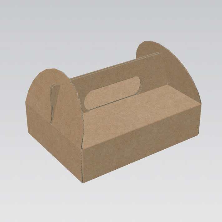 Tray Boxes Paper Handle